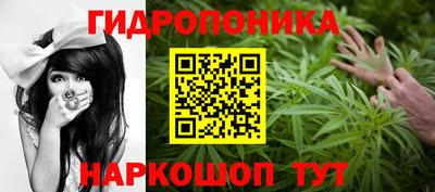 шишки Комсомольск-на-Амуре