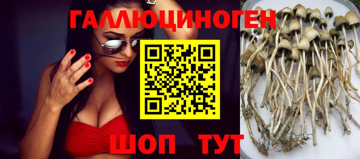 Галлюциногенные грибы ЛСД  Вход с VPN  Псилоцибиновые грибы ЛСД  Коряжма 